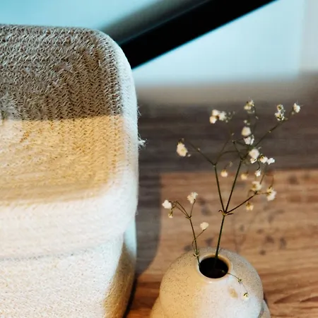 Serenite Maison Apartment *