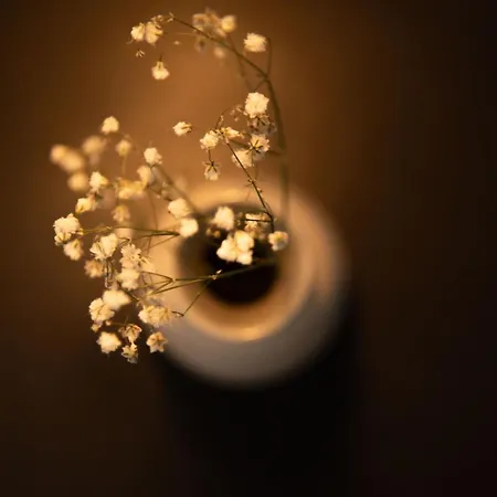 Serenite Maison * 레프킴미