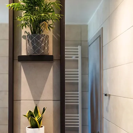 Serenite Maison 아파트 *